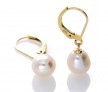 9ct Gold White Pearl Leverback Earrings